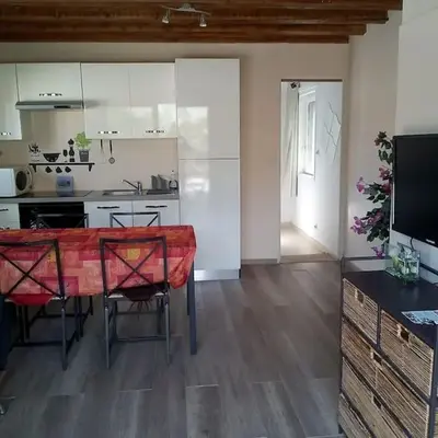 Single storey 40m² bordering pine forest and spa