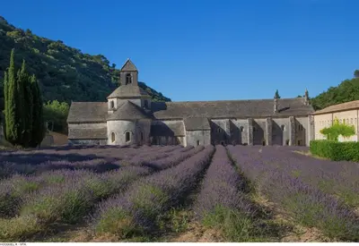 an old church in a field of lavender at Studio en pleine campagne in Le Thor