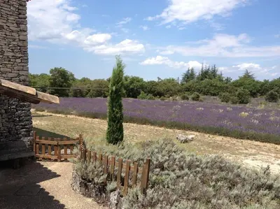 a garden with purple flowers and a wooden fence at Maison de caractère dans Luberon avec piscine in Saignon