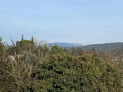 a group of trees with mountains in the background at Clos du Cardinal avec piscine in LʼIsle-sur-la-Sorgue