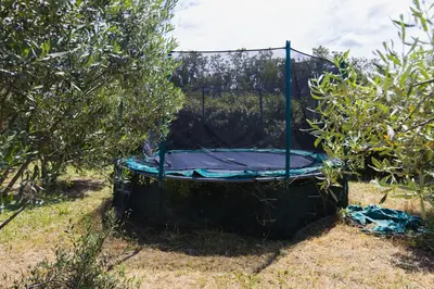 a trampoline sitting in the grass next to an apple tree at Roulotte chez Manon en Luberon in Lagnes