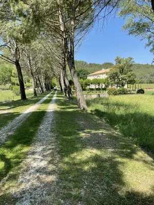 a tree lined dirt road with grass and trees at Chateau Talaud in Loriol-du-Comtat