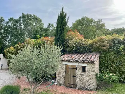 a cypress tree in a garden under a pergola at La Luberonne gordes in Gordes
