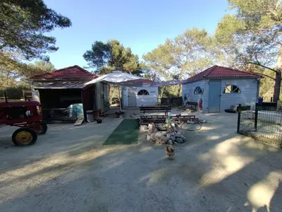 a group of chickens standing in a yard next to a building at Appartement vue panoramique au domaine et golf de pont royal in Mallemort