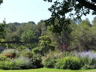 a garden with lots of plants and trees at Lou Pantai, House, 5 bedrooms, 8 people, AC, Pool, Large garden,4km from AIX EN PROVENCE in Aix-en-Provence