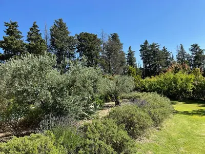 a garden with bushes and trees on a field at Beau studio en duo au coeur du Luberon in Saumane-de-Vaucluse