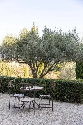 a table and two chairs sitting next to a tree at Maison Bournissac in Noves