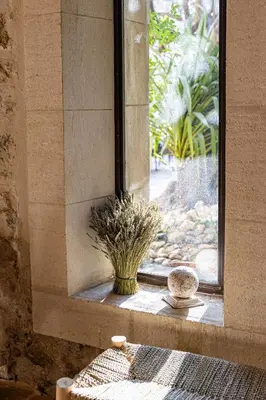a window with a plant sitting on a window sill at Maison Bournissac in Noves