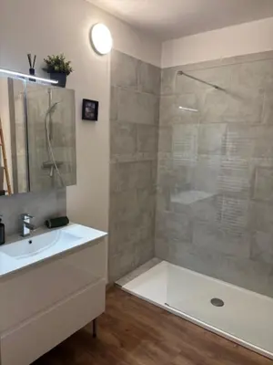 a bathroom with a shower and a sink and a tub at 