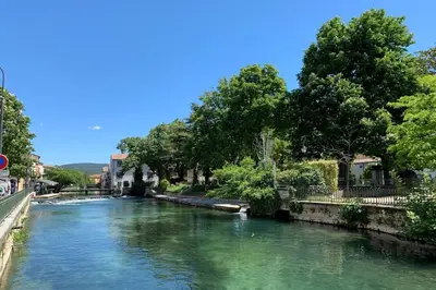 a river with green water and trees on the side at 