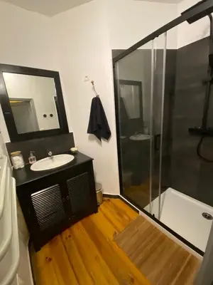 a bathroom with a sink and a shower at Lou Magnan in LʼIsle-sur-la-Sorgue