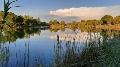 a view of a lake with trees in the background at Maison 3 pièces domaine golf Pont Royal in Mallemort