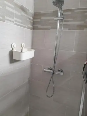 a shower with a shower head and a sink in a bathroom at La Ferme l'Etang in Vachères