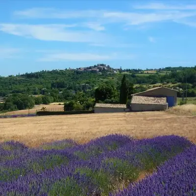 La Ferme l'Etang