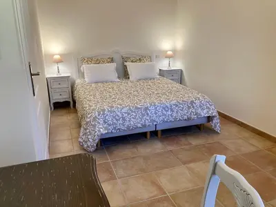 a bedroom with a bed with two tables and two lamps at Mas du Clos , Tilleul in Roussillon