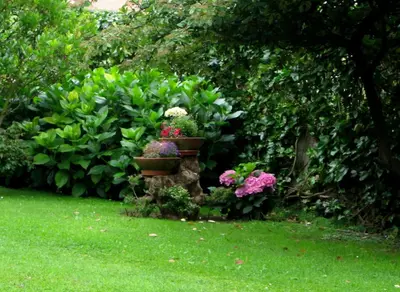 a garden with two potted plants and flowers at Chez Fleur in Avignon