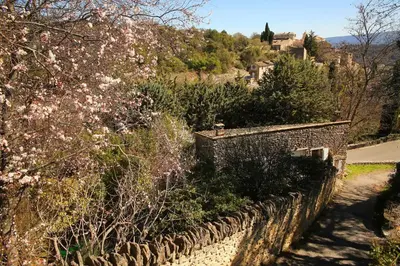 a stone wall with bushes and trees and a mountain at La petite Maison de Gordes in Gordes