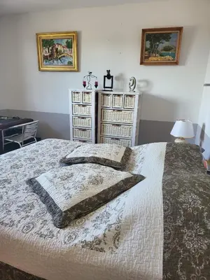 a bedroom with a bed with two pillows on it at Appartement standing bord Sorgue in LʼIsle-sur-la-Sorgue
