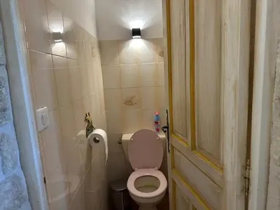 a small bathroom with a toilet and a shower at La Meynardière in Saint-Pierre-de-Vassols