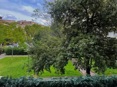 a tree in a park with a green field at Studio au cœur d'Aix avec balcon et parking in Aix-en-Provence