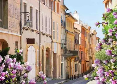 a city street with buildings and purple flowers at Studio au cœur d'Aix avec balcon et parking in Aix-en-Provence